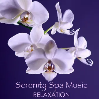 Serenity Spa Music Relaxation - Ultimate 50 Wellness and Beauty Songs for Spa Massage and Healing Therapy by Marvin Spa