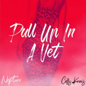 Pull Up in a Vet by Neptune