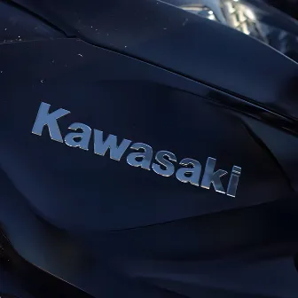 Kawasaki by DOBLEC