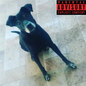 Good Dog by Yung Vitu