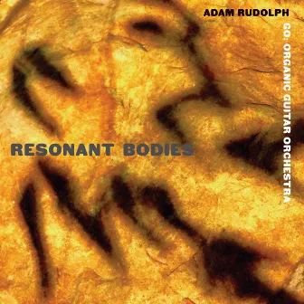 Resonant Bodies by Go: Organic Guitar Orchestra