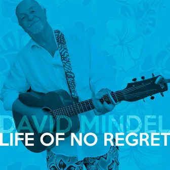 Life of No Regret by David Mindel