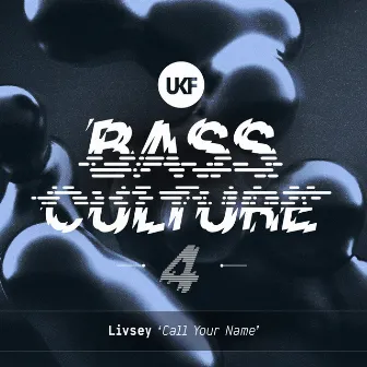 Call Your Name (Bass Culture 4) by Livsey