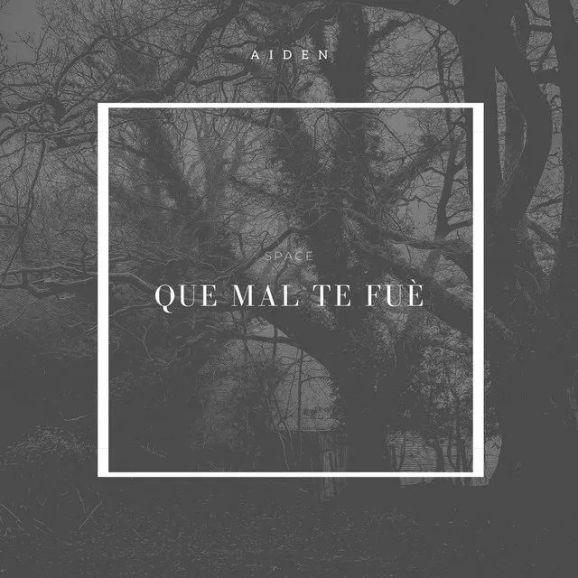 Que mal te fue - Demo