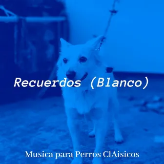 Recuerdos (Blanco) by Musica para Perros ClAisicos