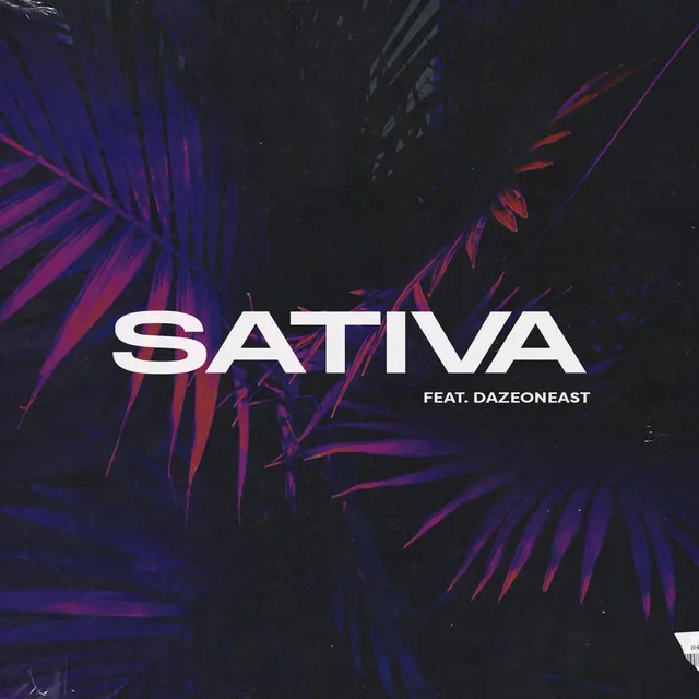 Sativa