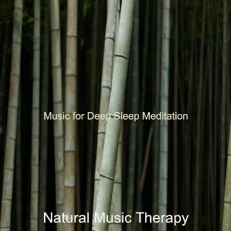 Music for Deep Sleep Meditation by Natural Music Therapy