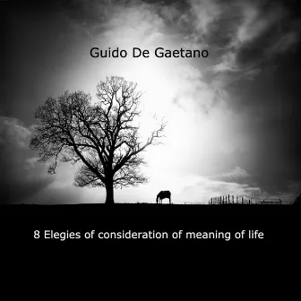 Elegies of consideration of the meaning of life by Guido De gaetano