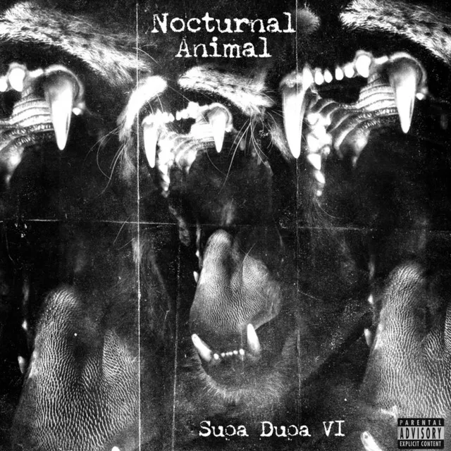 Nocturnal Animal