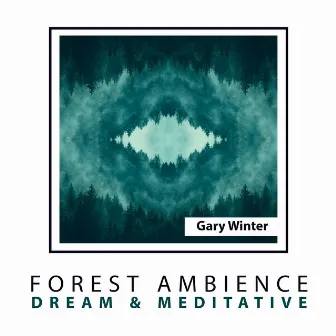 Forest Ambience: Dream & Meditative by Gary Winter