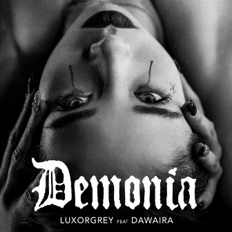 Demonia by Luxor Grey