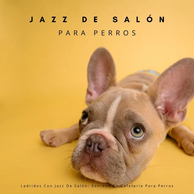 Ladridos Con Jazz De Salón: Sonidos De Cafetería Para Perros