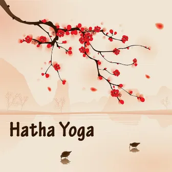 Hatha Yoga by Yoga Teacher