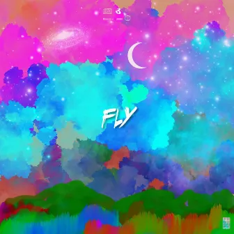 Fly by Unknown Artist