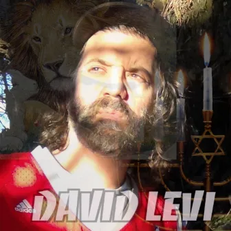 David Levi by David Levi