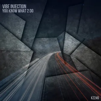 You Know What 2 Do by Vibe Injection