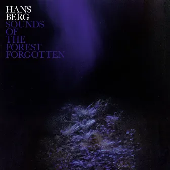 Sounds of the Forest Forgotten by Hans Berg