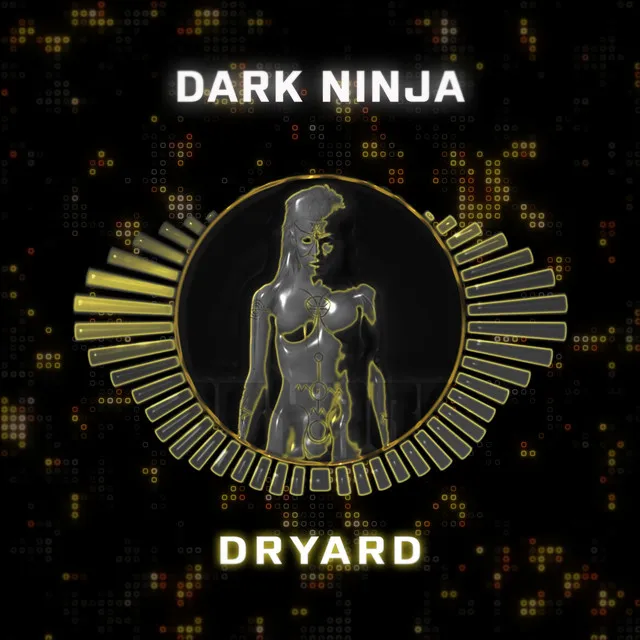 Dark Ninja