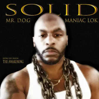 Solid by Mr. D.O.G.