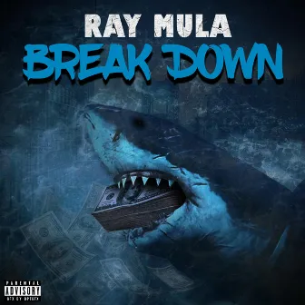 Break Down by Ray Mula