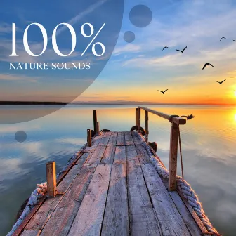 100% Nature Sounds: 1 Hours of Relaxing Natural Ambiences for Meditation, Awakening and Yoga by Relaxation Area