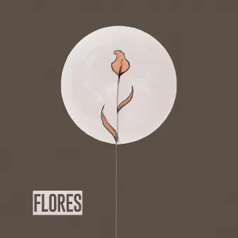 Flores by Poky