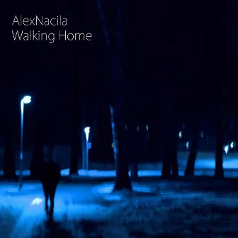 Walking Home by AlexNacila