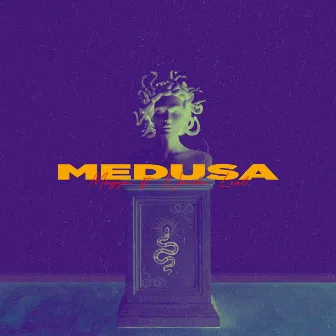 Medusa by Nando Leal