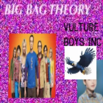 Big Bag Theory by VULTURE BOYS