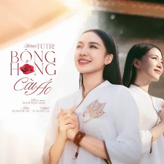 Bông Hồng Cài Áo by Tú Tri