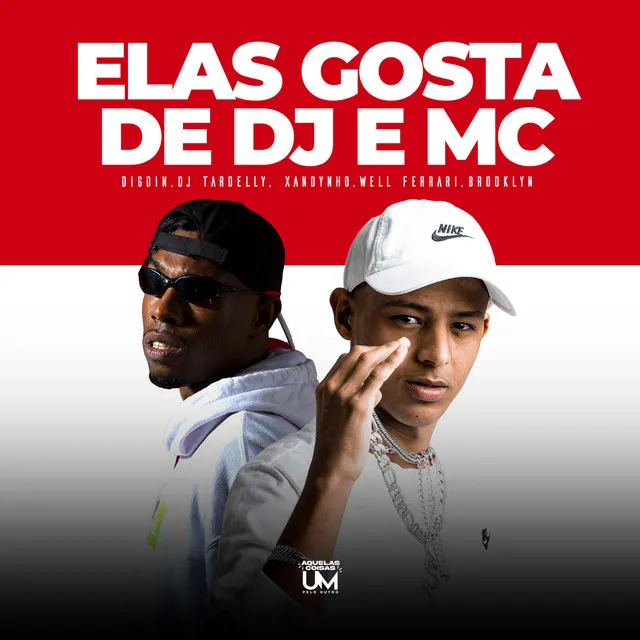 Elas Gosta de Dj e Mc