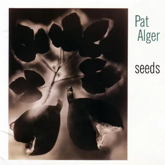 Seeds by Pat Alger