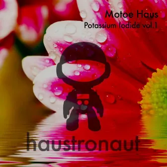 Potassium Iodide, Vol. 1 by Motoe Haus