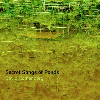 Secret Songs of Ponds by David Rothenberg