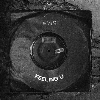 Feeling U by Amir