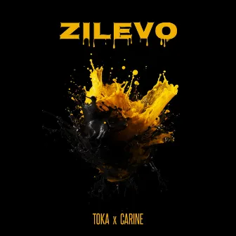 Zilevo by toka