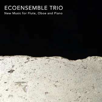 New Music for Flute, Oboe and Piano by Ecoensemble Trio