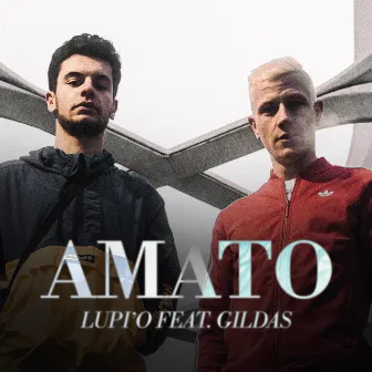 Amato by LUPI'O