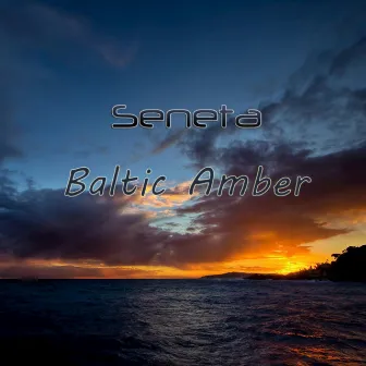 Baltic Amber - Single by Seneta