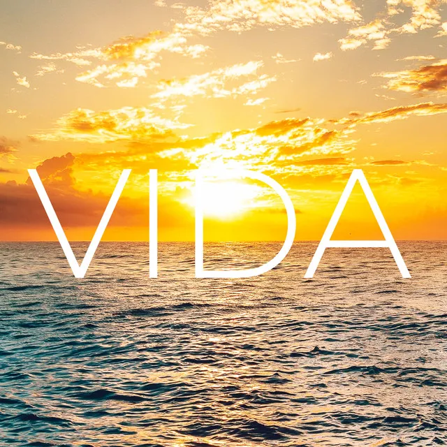 Vida