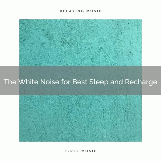 The Brownian Noises for Best Dreams and Recharge