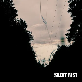 Silent Rest by Ajay Samra