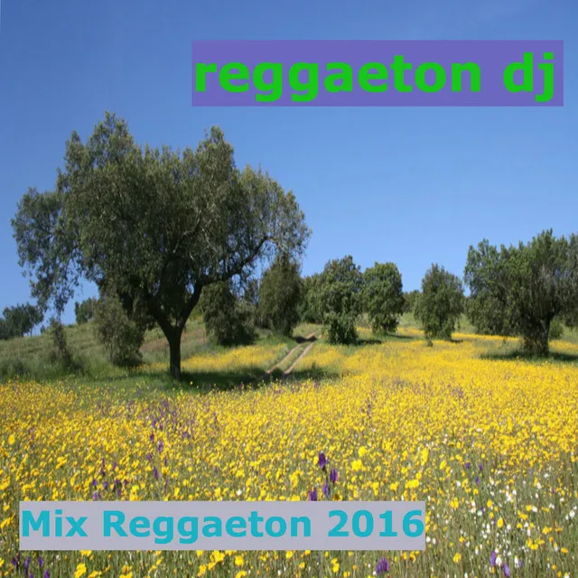 Mix Reggaeton 2016