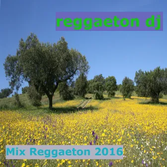 Mix Reggaeton 2016 by Reggaeton DJ