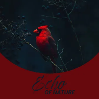 Echo of Nature: Nature White Noise🌿 (Woodland Birds, Forest Stream, Nature at Night, Rain Sounds) by Serenity Nature Sounds Academy