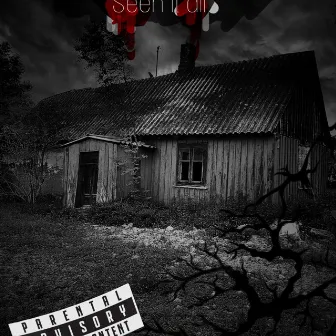 Seen It All by L.i Zelly