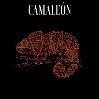 Camaleón by Mike Coobe