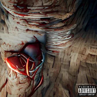 Artery by Unknown Artist