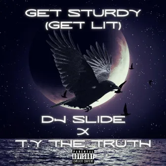 Get Sturdy (Get Lit) by DJ Slide