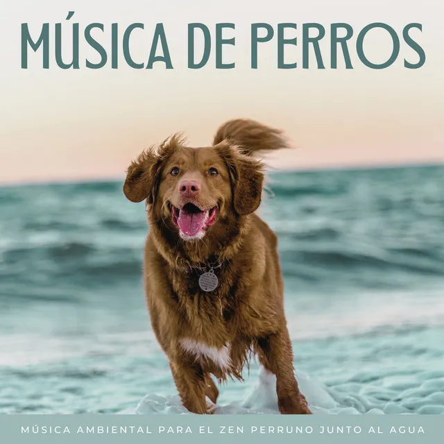 Música De Perros: Música Ambiental Para El Zen Perruno Junto Al Agua